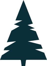Illustrated tree graphic beside the daycare hero heading
